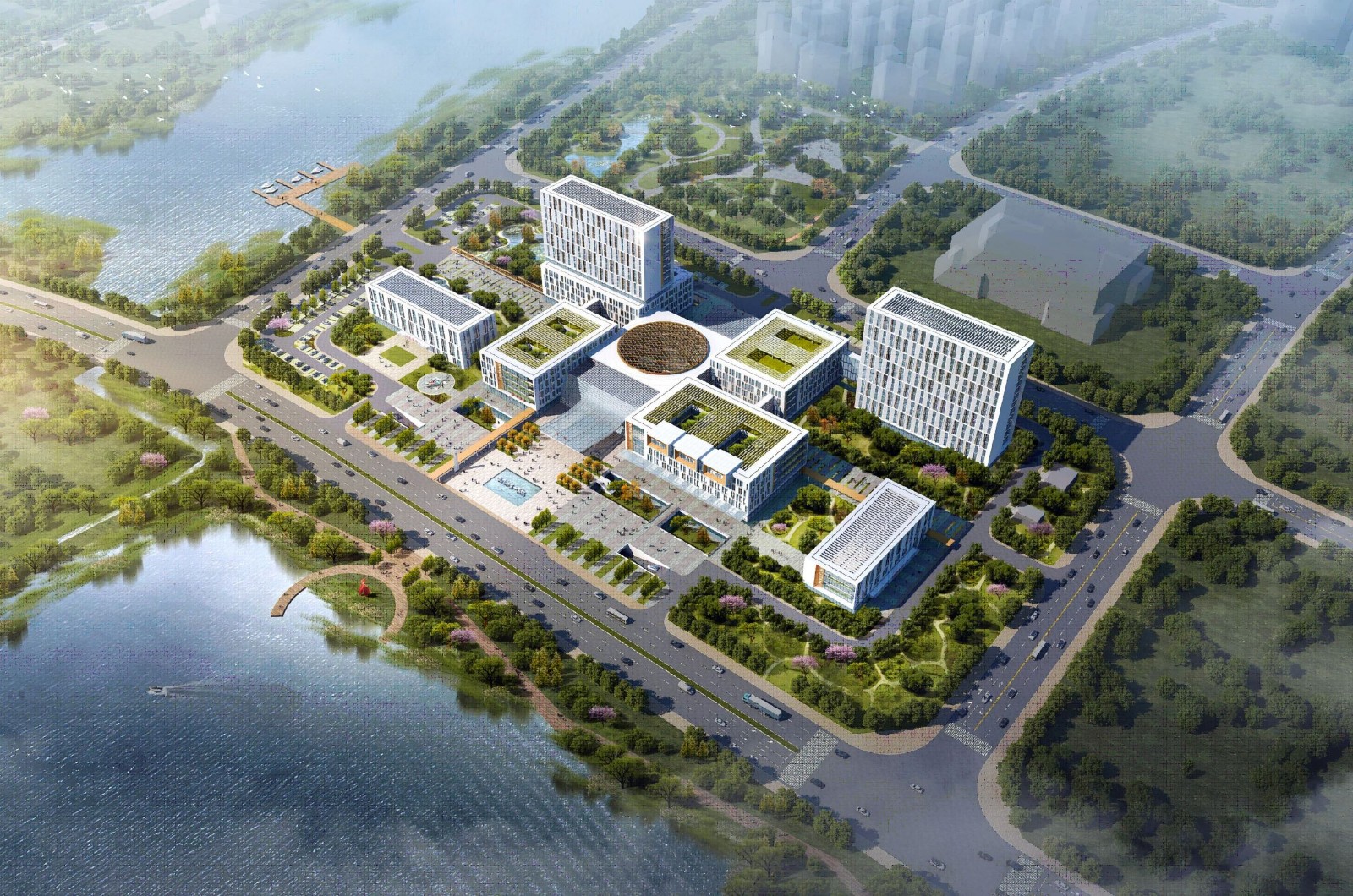 武漢市第一醫(yī)院盤龍城醫(yī)院建設(shè)項目（一期）項目管理.jpg