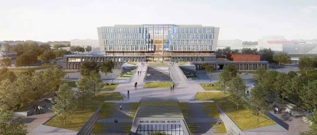 南京農(nóng)業(yè)大學(xué)江北新校區(qū)一期工程章之汶圖書館順利實現(xiàn)封頂